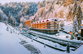 Sairme Hotels & Resorts